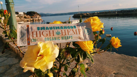 Flavor Wave - High Hemp Herbal Wraps